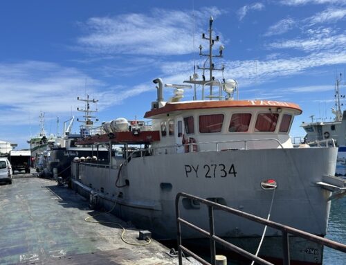 10ᵉ Forum de l’Économie Bleue – « Azimut 2030 : Attractivité des métiers de la mer »